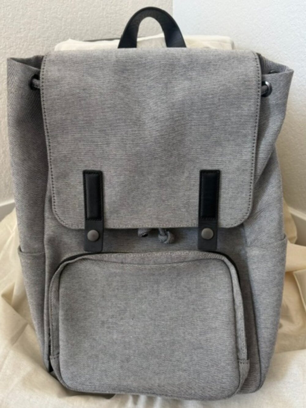 Everlane Modern Snap Backpack